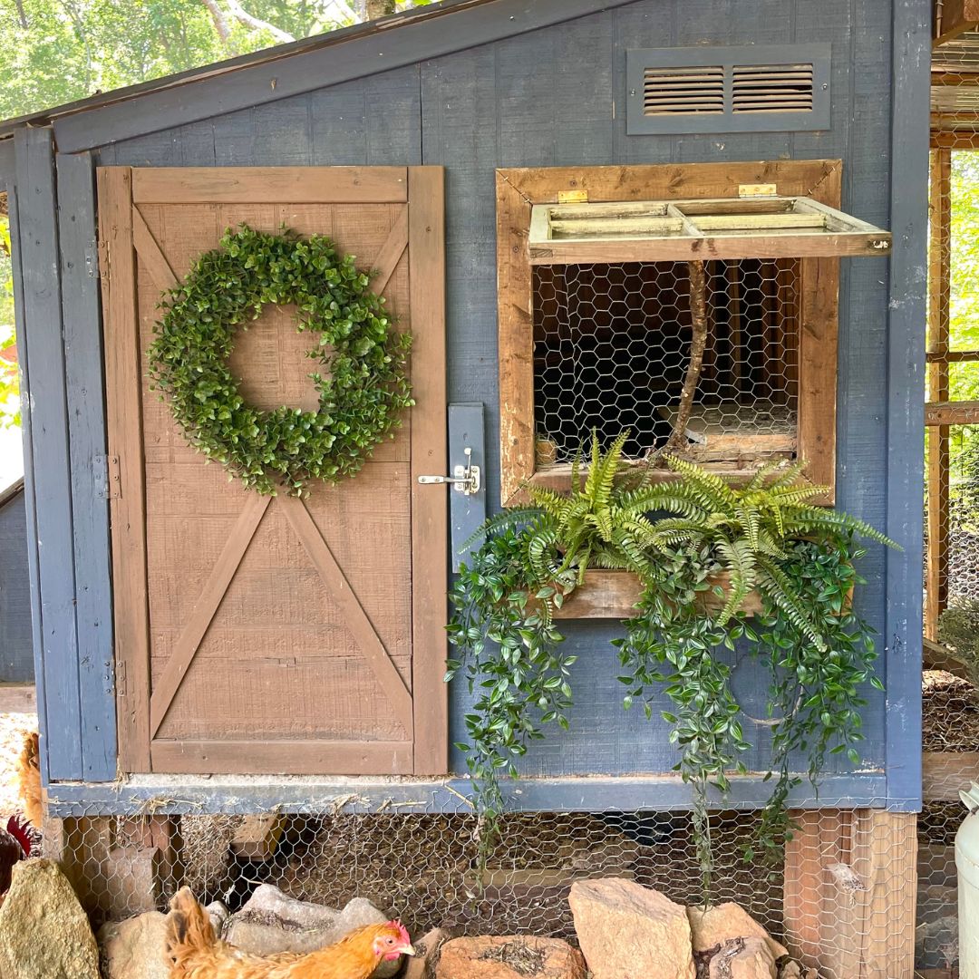 Our Chicken Coop and Barn Thorn Cove Abode